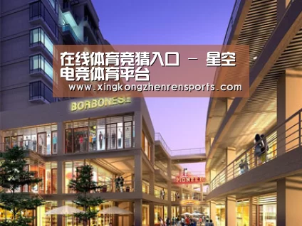 案例展示一(图1)