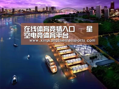 案例展示八