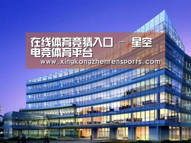 案例展示五