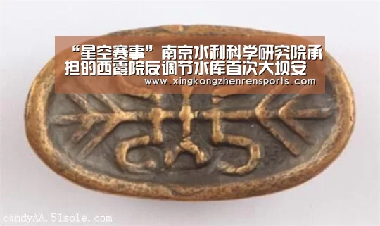 “星空赛事”南京水利科学研究院承担的西霞院反调节水库首次大坝安全鉴定成果顺利通过评审(图1) 星空百家乐