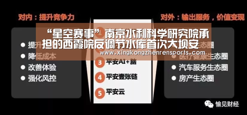 “星空赛事”南京水利科学研究院承担的西霞院反调节水库首次大坝安全鉴定成果顺利通过评审(图3) 星空娱乐