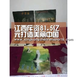 江西斥资81.5亿元打造美丽中国“江西样板”【星空真人】(图2) 星空赛事