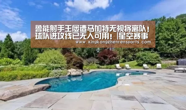 鲁能射手王屡遭马加特无视将离队!球队进攻线已无人可用!|星空赛事(图3) 星空真人